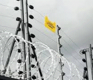 Electric Fence installation in kiambu nairobi kajiado